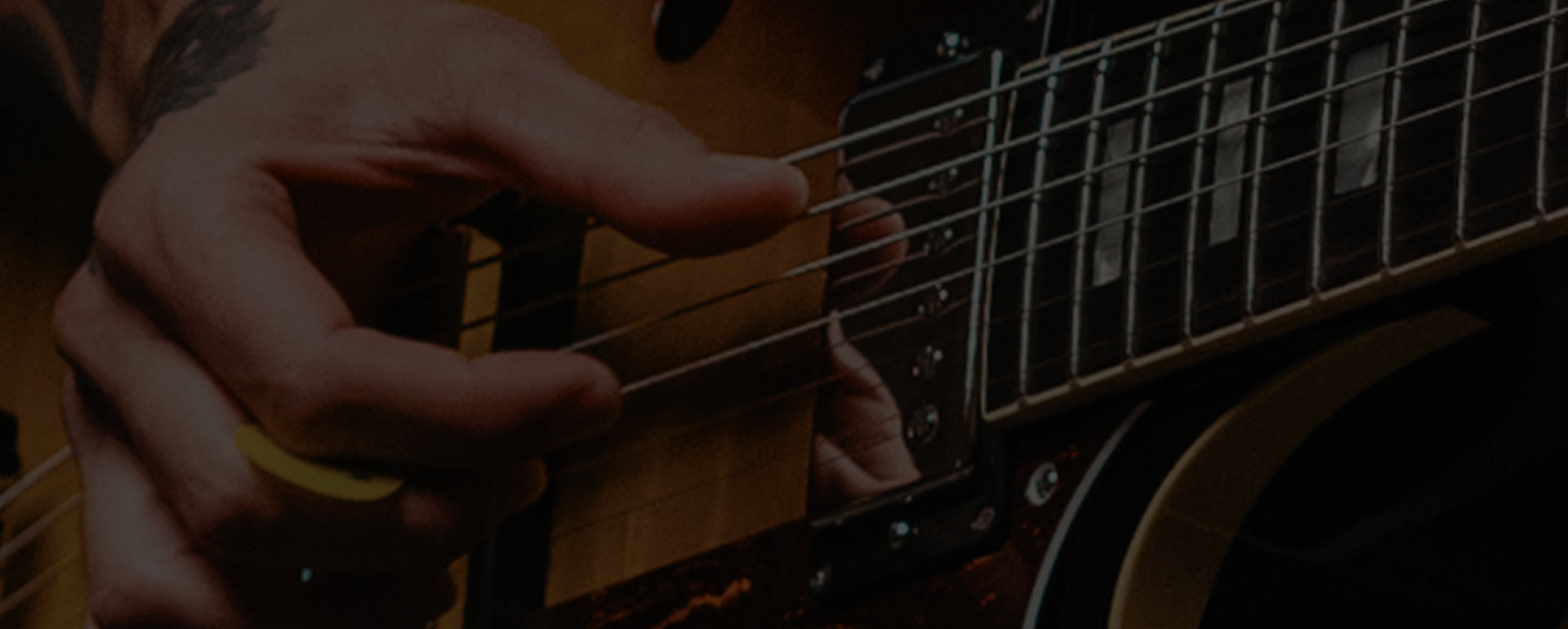 225 CLASSIC ARCHTOP
HUMBUCKERS