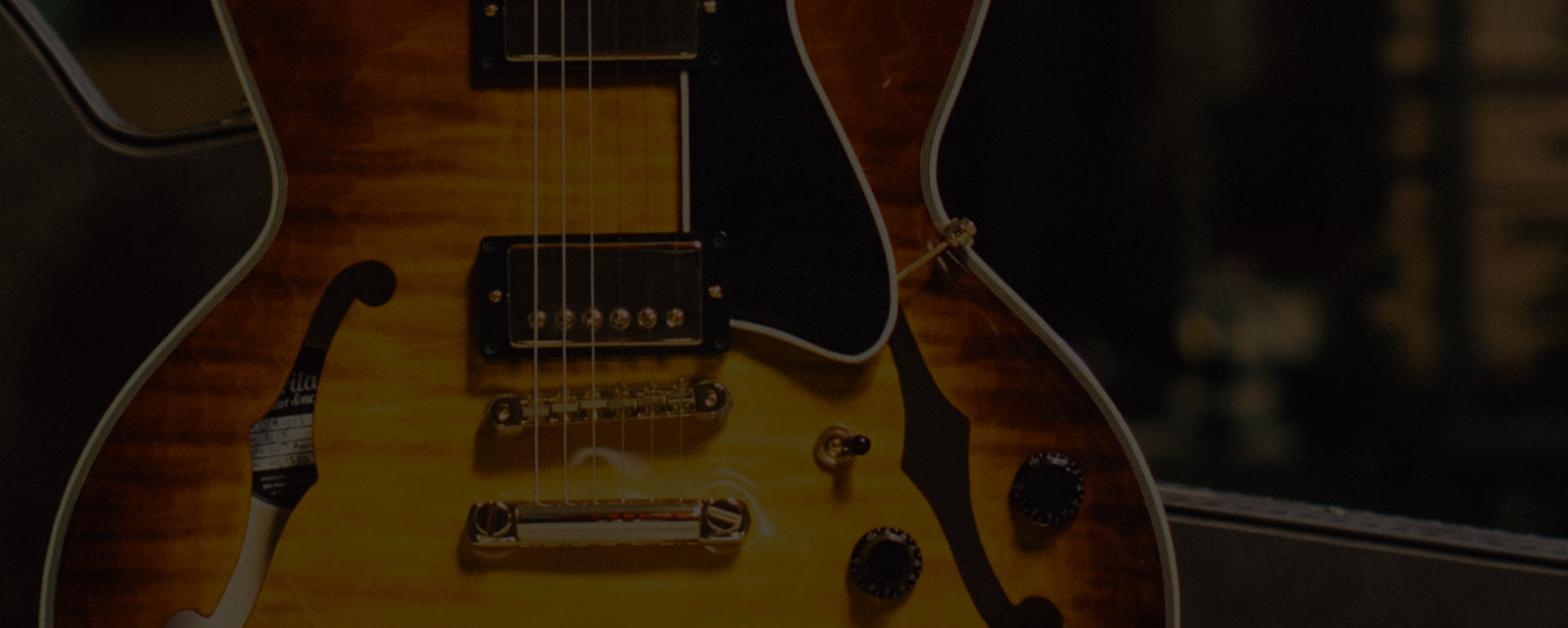 40TH ANNIVERSARY EDITION 225 CLASSIC HUMBUCKERS